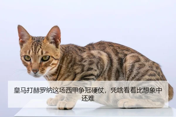 皇马打赫罗纳这场西甲争冠硬仗，凭啥看着比想象中还难