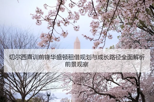 切尔西青训前锋华盛顿租借规划与成长路径全面解析前景观察