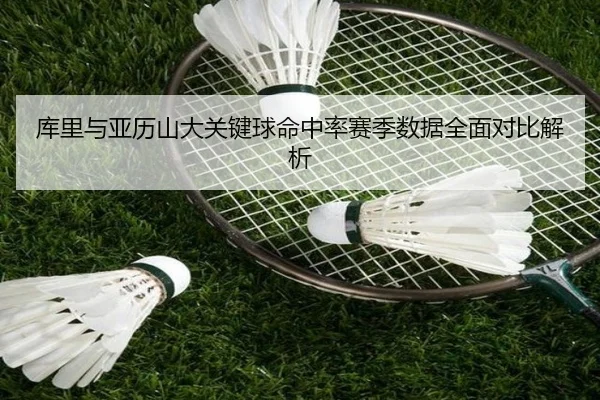 库里与亚历山大关键球命中率赛季数据全面对比解析